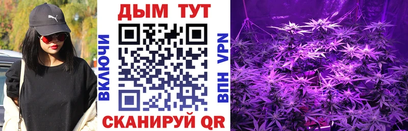 Купить где  Баксан  Шишки марихуана SATIVA & INDICA 